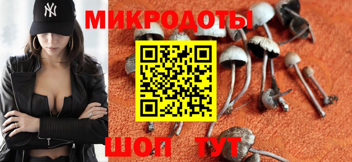 Псилоцибиновые грибы Cubensis Иваново